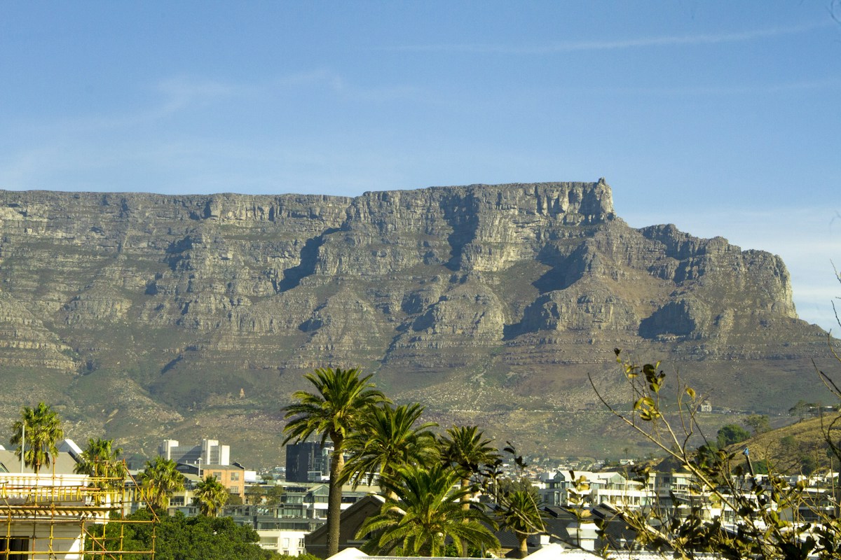 Table Mountain rising above Cape Town and palm trees